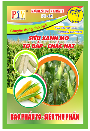 Phân bón phức hợp vi lượng cho ngô